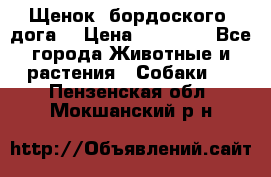 Щенок  бордоского  дога. › Цена ­ 60 000 - Все города Животные и растения » Собаки   . Пензенская обл.,Мокшанский р-н
